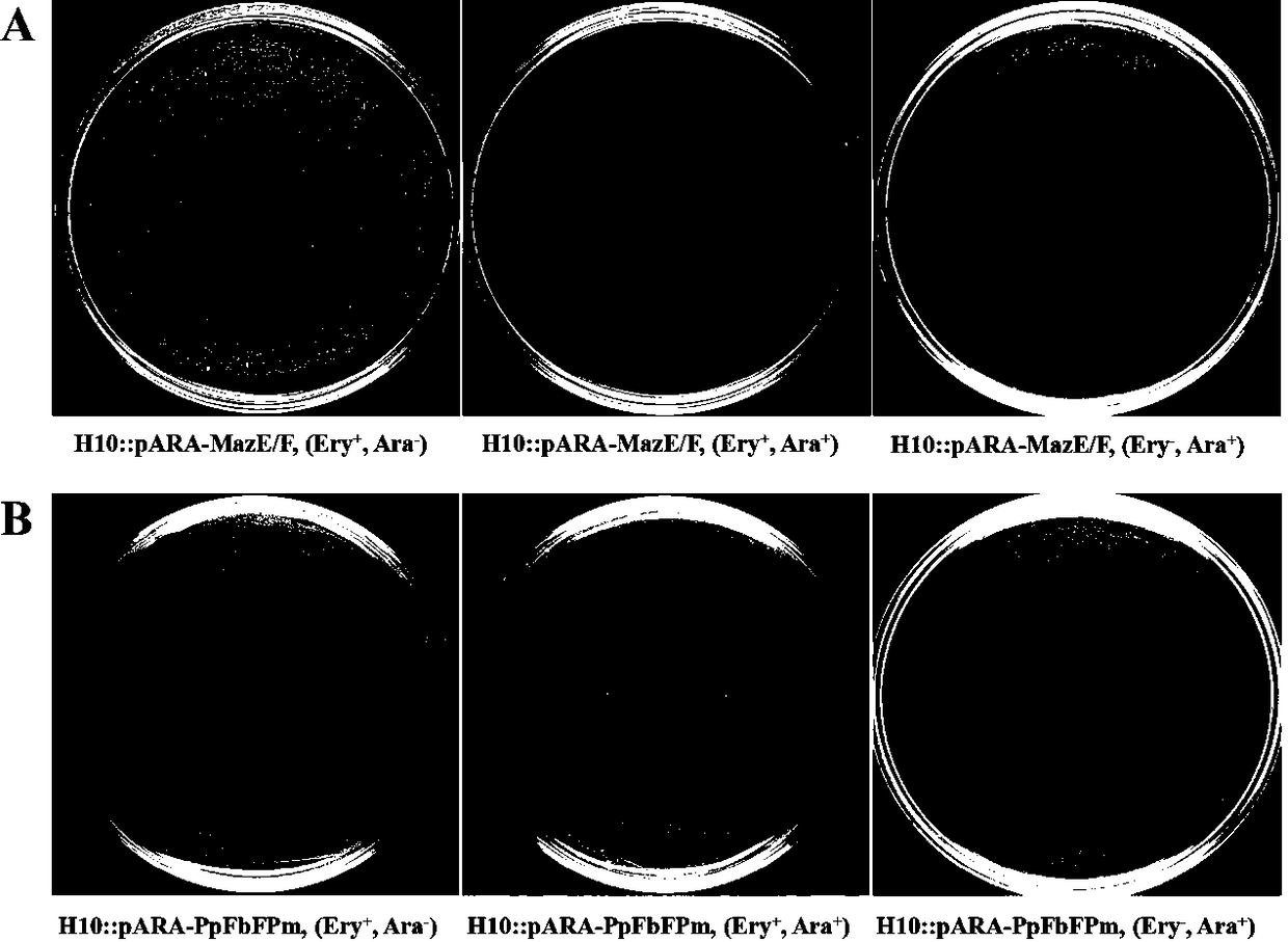 A microbial inducible gene expression regulation system