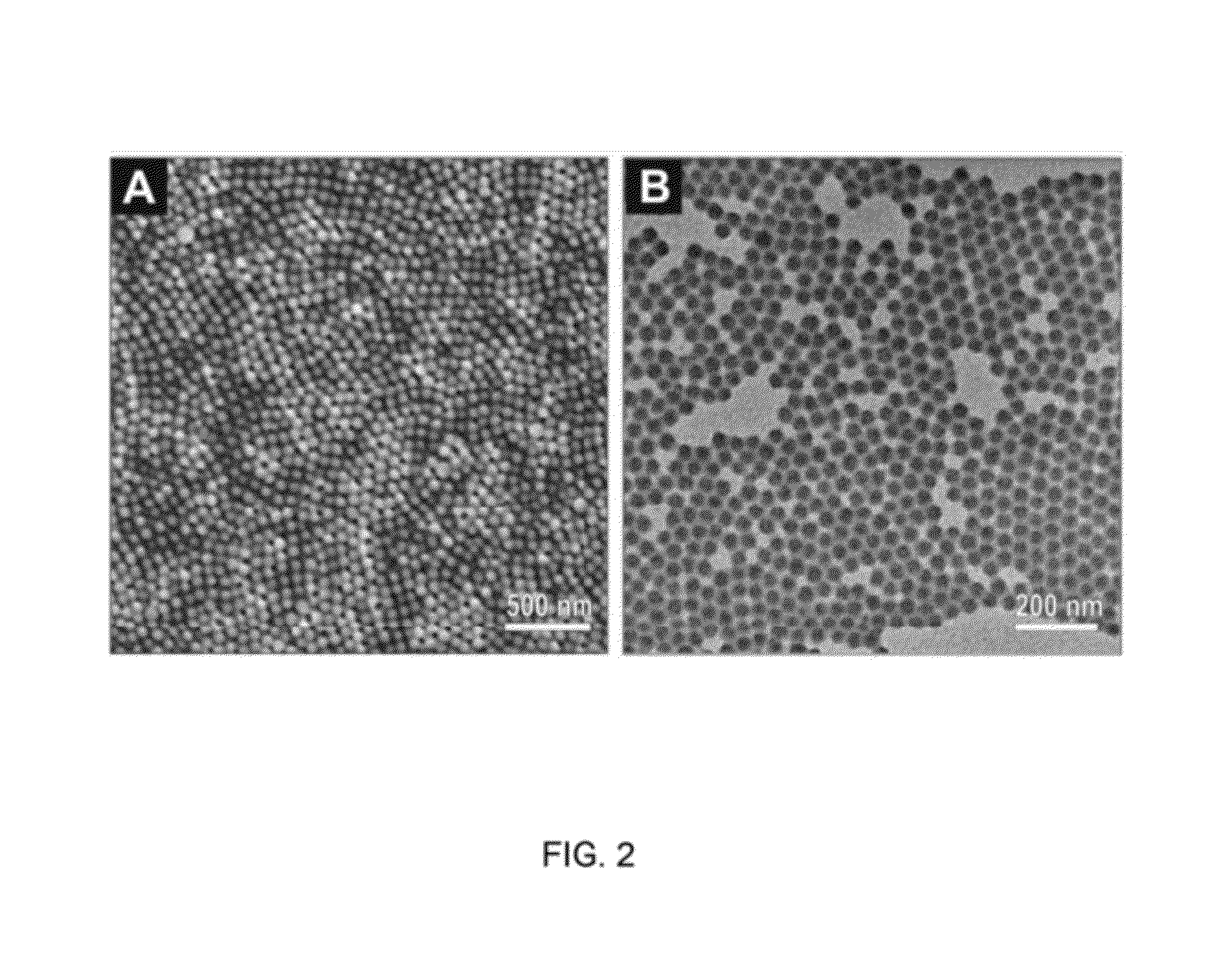 Method of making monodisperse nanoparticles