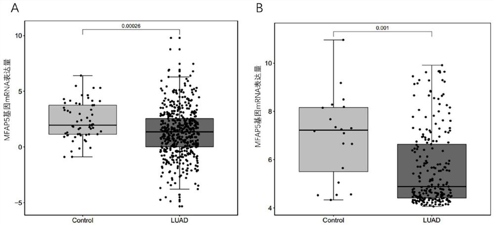 Application of gene marker combination in lung cancer screening and prognosis judgment