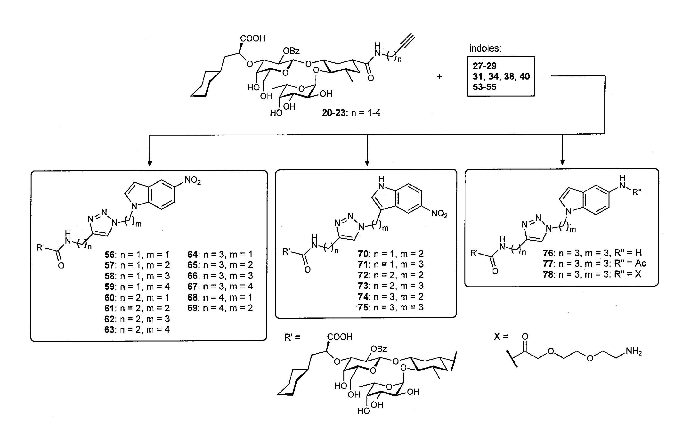 E-selectin antagonists