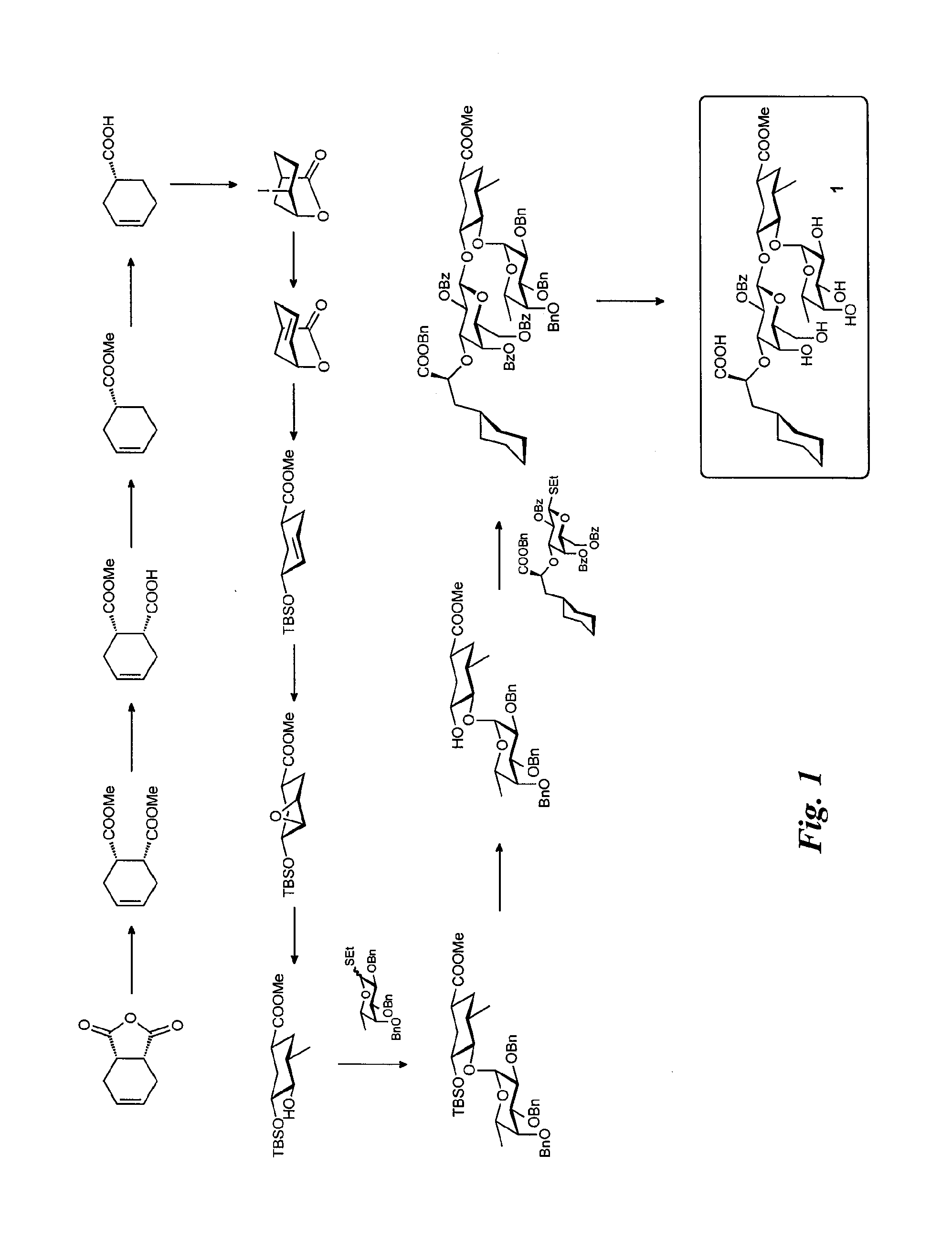 E-selectin antagonists