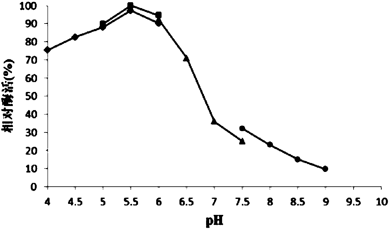 Rhizomucor miehei-derived beta-1,3-glucanase and application thereof