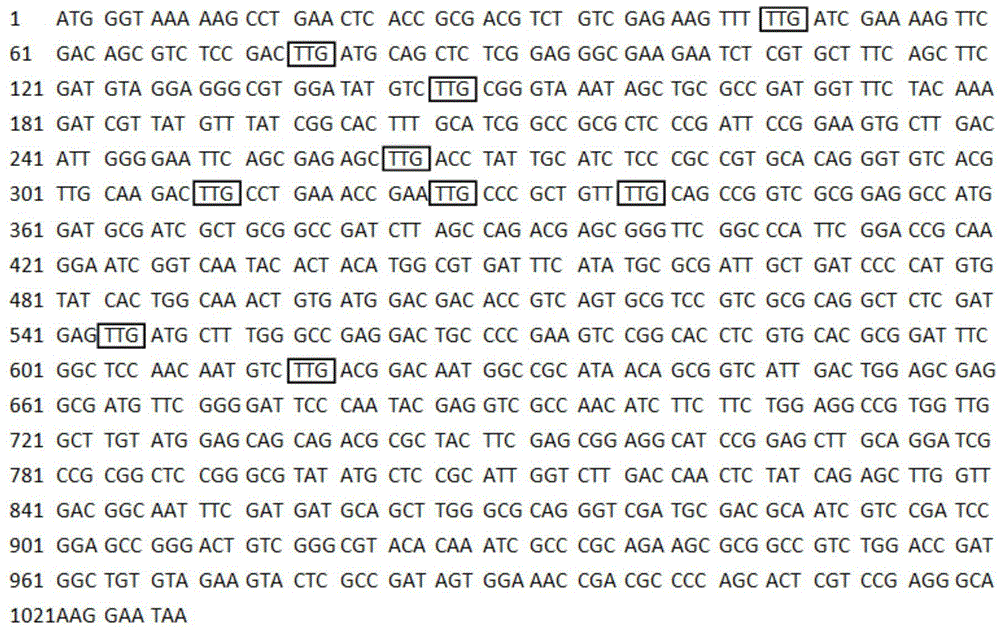 Pichia stipitis gene expression system as well as construction and application thereof