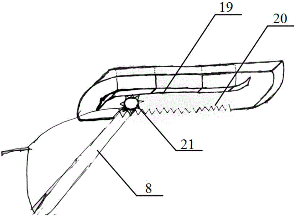 Meibomian gland massager