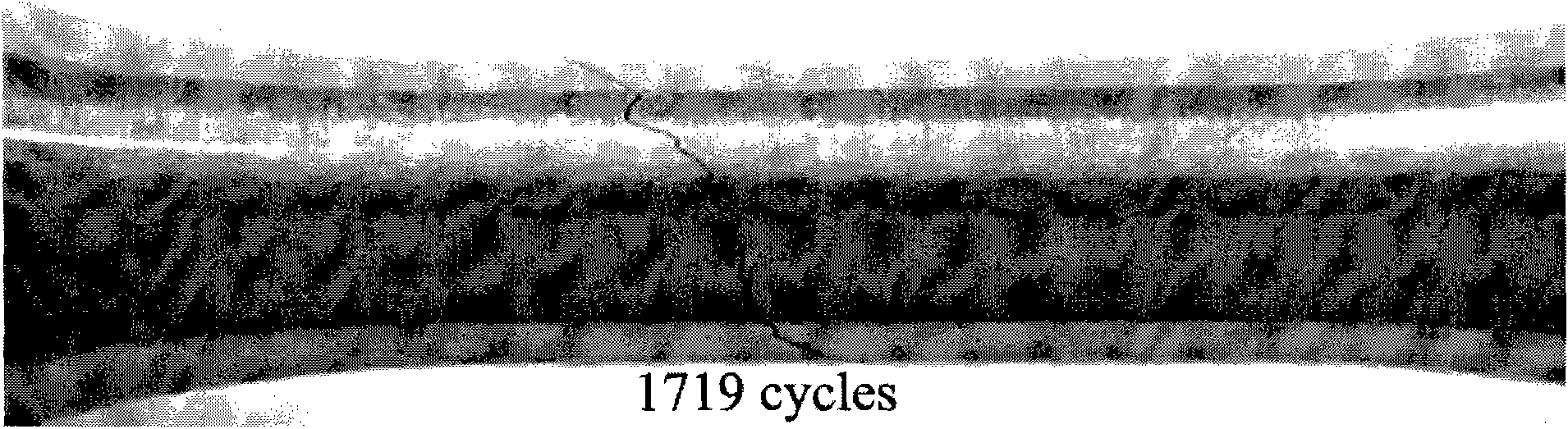 Corrosion fatigue test apparatus with high temperature and high pressure circulating water