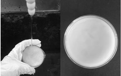 Attapulgite-chitosan composite gel and preparation method thereof