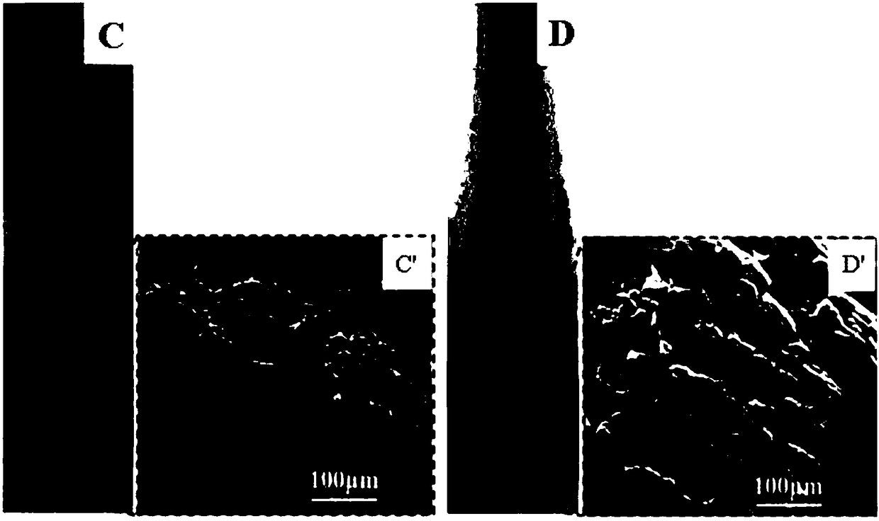 Preparation methods of SiO2 nano particle modified expandable graphite and flame retardant polypropylene