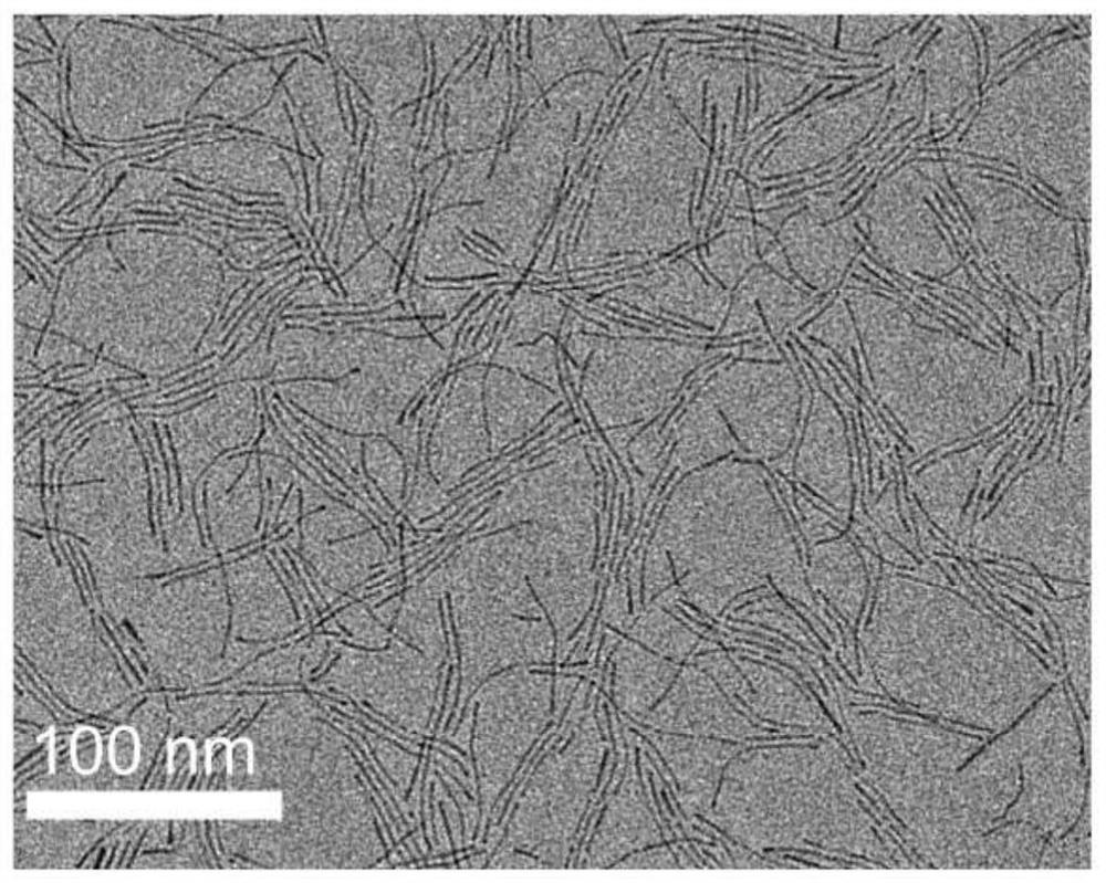 Cathode catalyst active material for hydrogen fuel cell, preparation method and catalyst