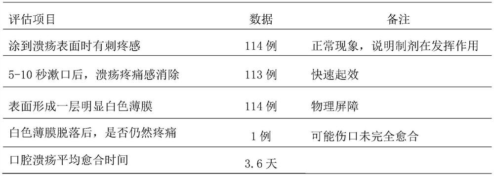 Oral ulcer wound nursing agent and preparation method thereof