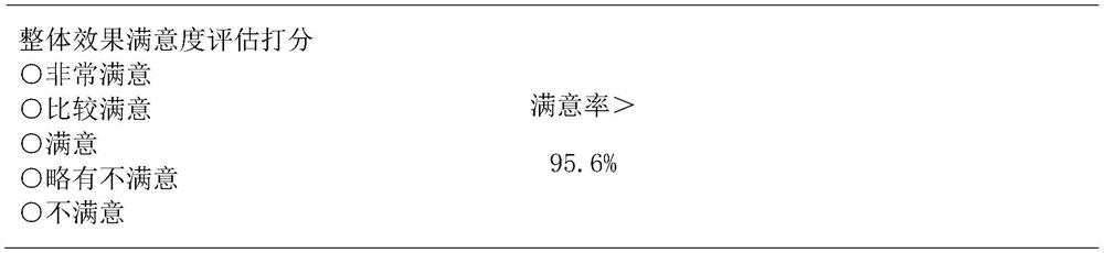 Oral ulcer wound nursing agent and preparation method thereof