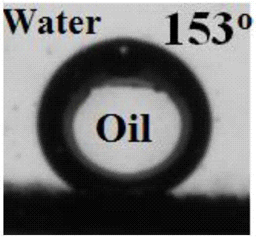 Preparation method and uses of iron-tannic acid skeleton modified composite film