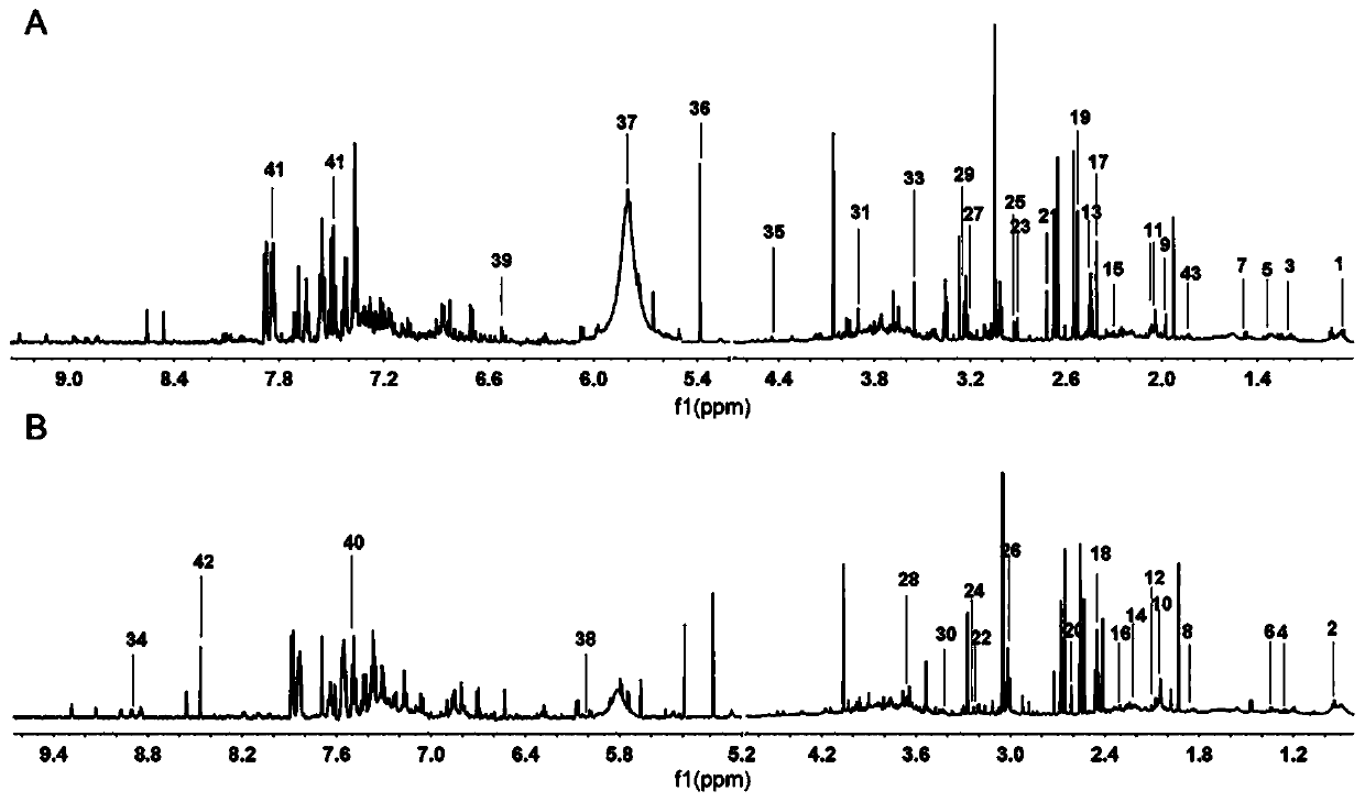 Lipidomics analysis method of blood deficiency mouse model