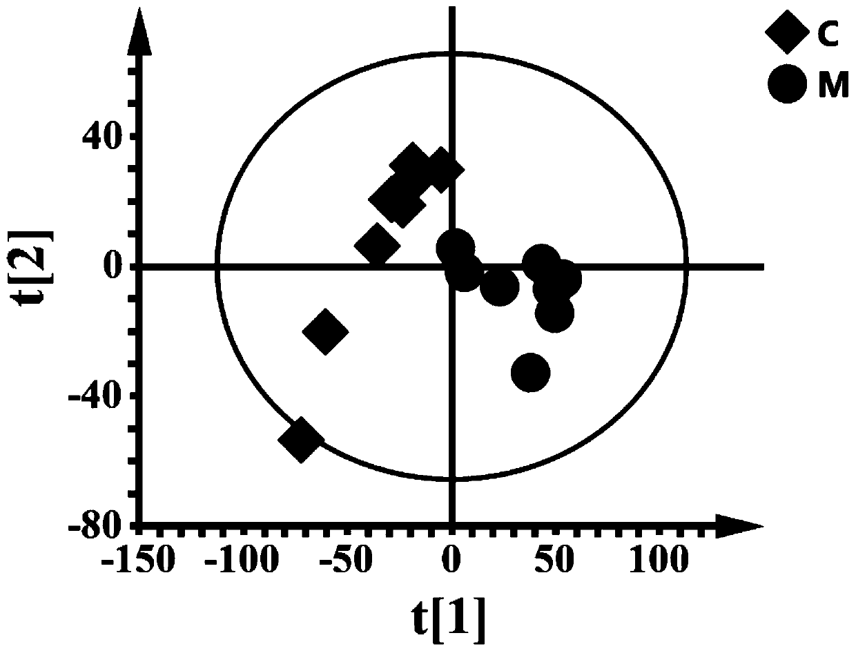 Lipidomics analysis method of blood deficiency mouse model