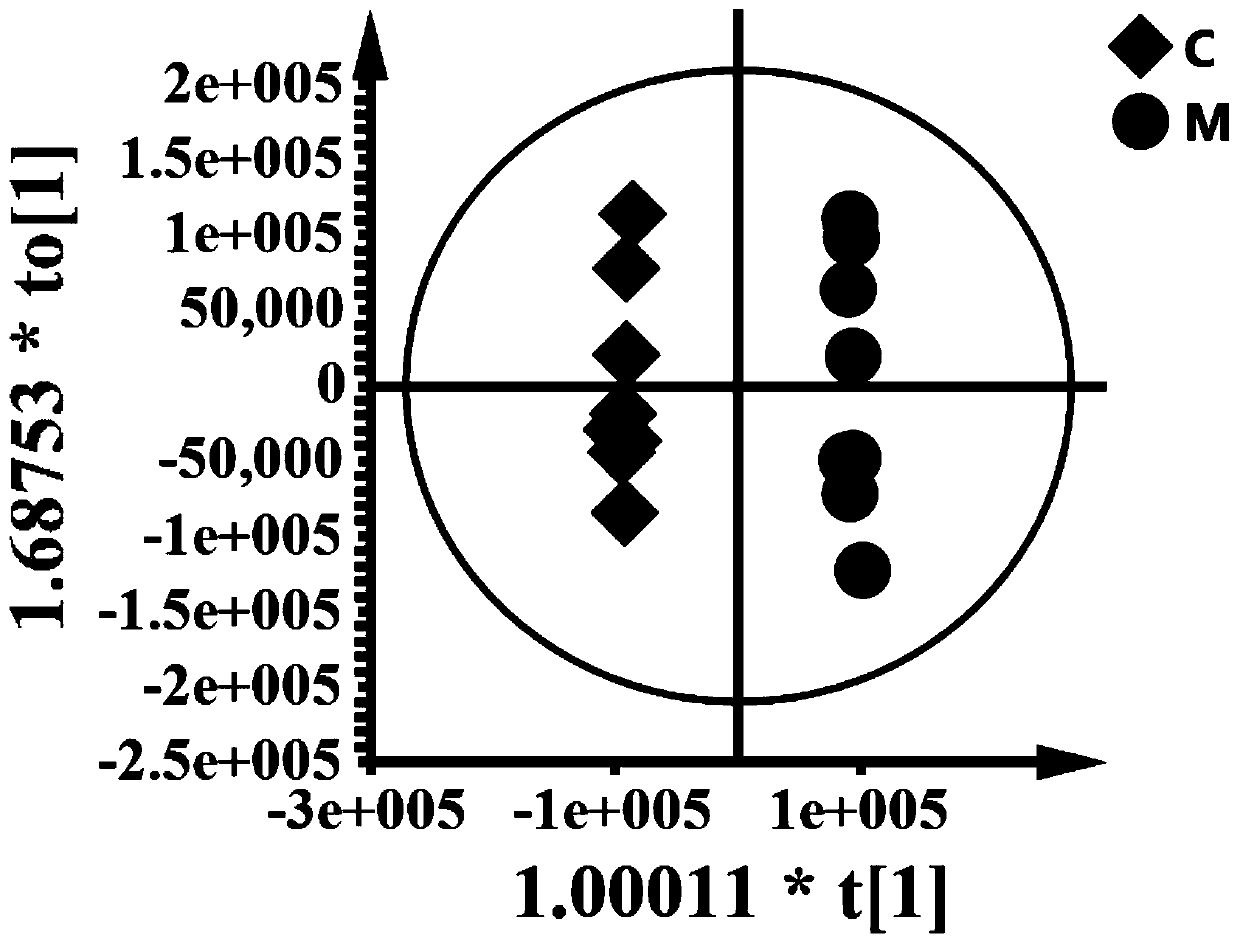 Lipidomics analysis method of blood deficiency mouse model