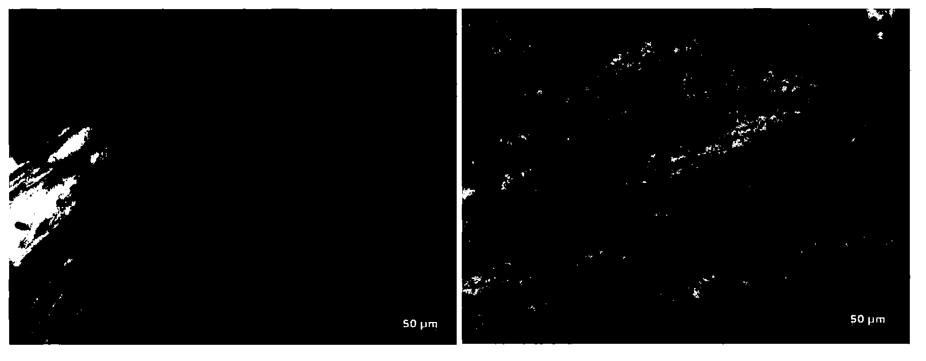 Bone defect repairing material, preparation method and applications thereof