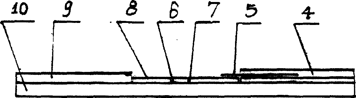 SARS virus antibody detecting method, rapid diagnosis kit and preparation method