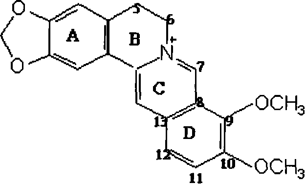 Method for extracting purified cortex phellodendri total alkaloid by utilizing ion-exchange fiber