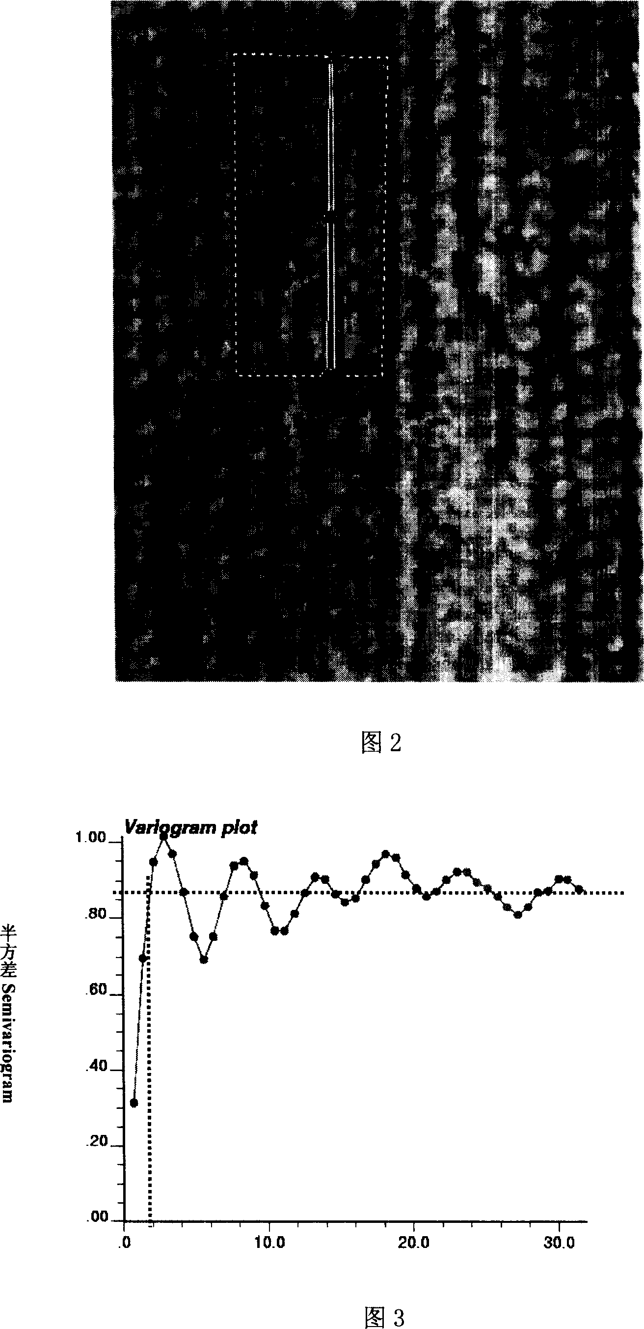 Canopy spatial statistics quantitative estimation method based on remote sensing image with fine spatial resolution