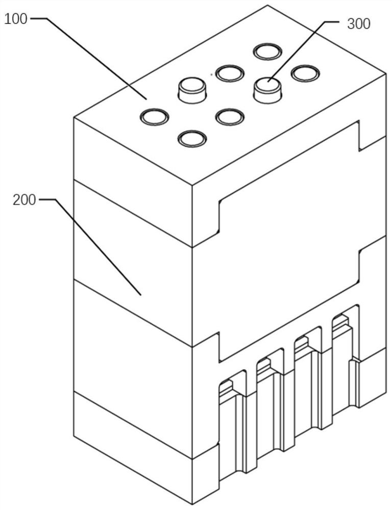 A braille display module and a braille display device