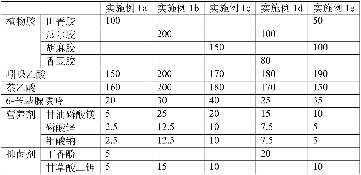 Celtis sinensis scion rooting liquid and celtis sinensis grafting and seedling raising method