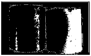 Coating glaze and use method thereof