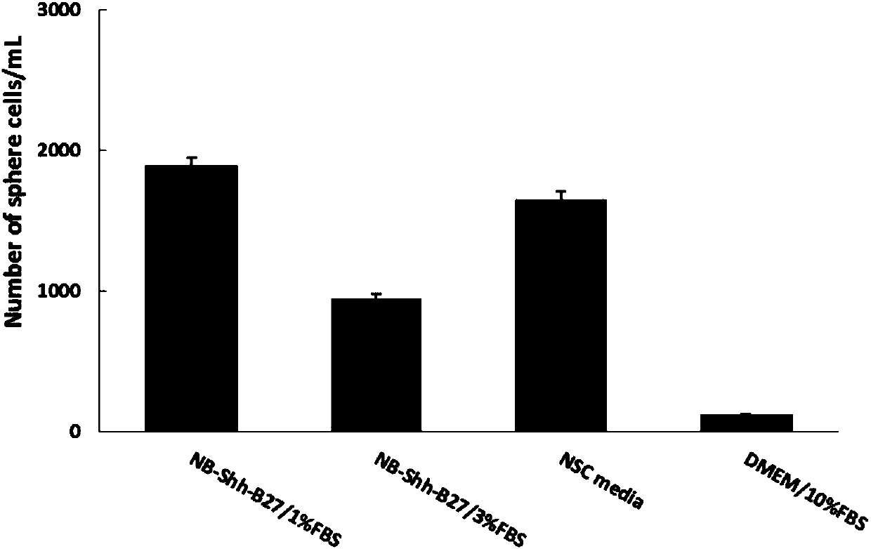 Culture solution for culturing brain tumor cells in vitro and culture method thereof