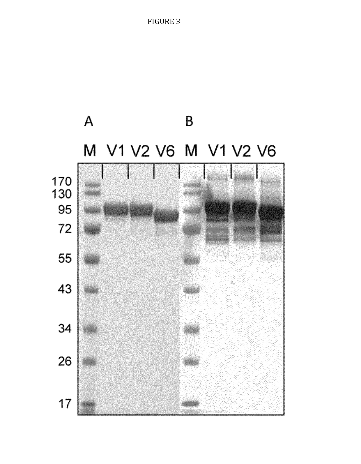 Three-component-multistage malaria vaccine