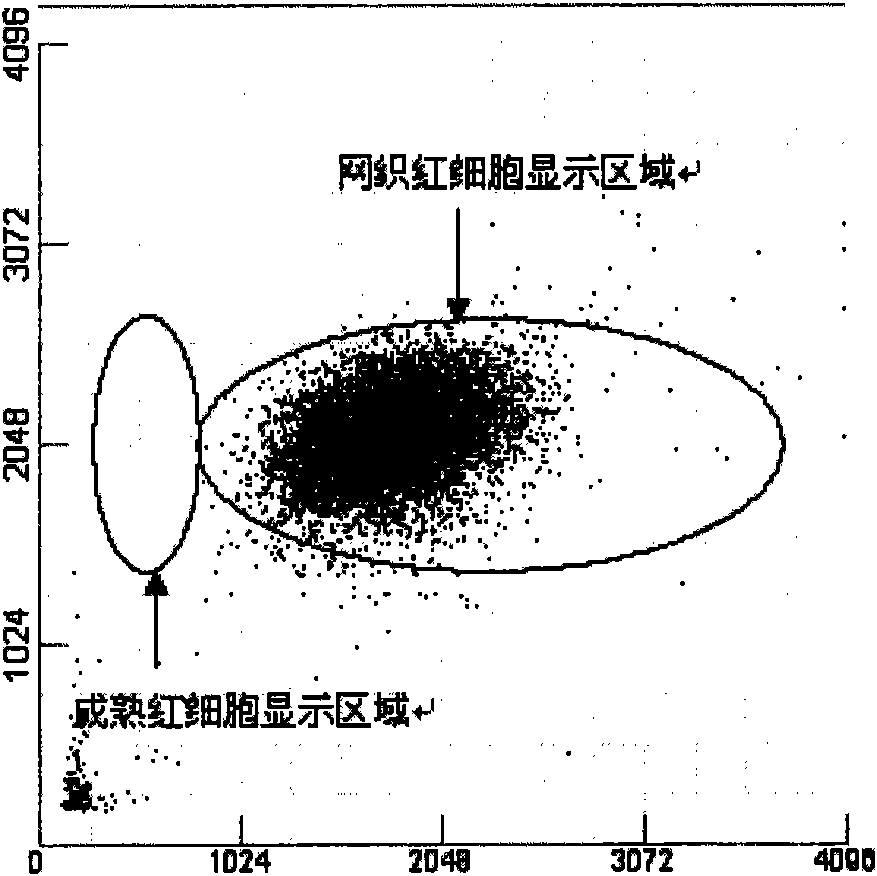 Reticulocyte mimics and preparation method thereof