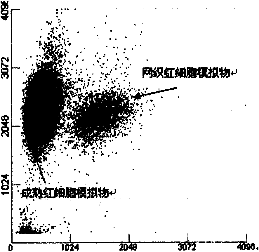 Reticulocyte mimics and preparation method thereof