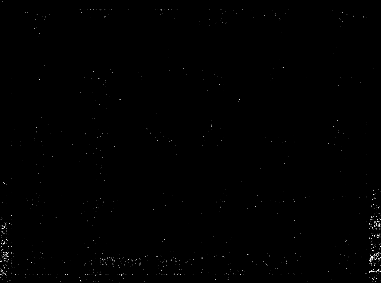 After-forged heat treatment technique of 9Cr2MoV chilled roll steel