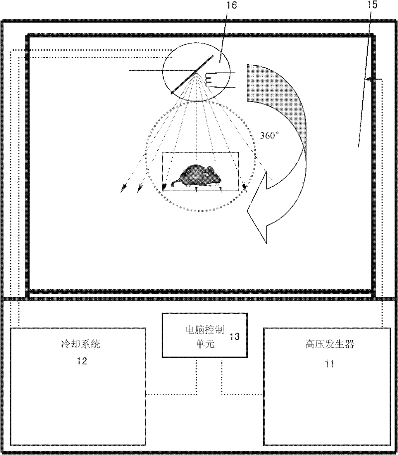 Biological irradiation device of high energy X-rays