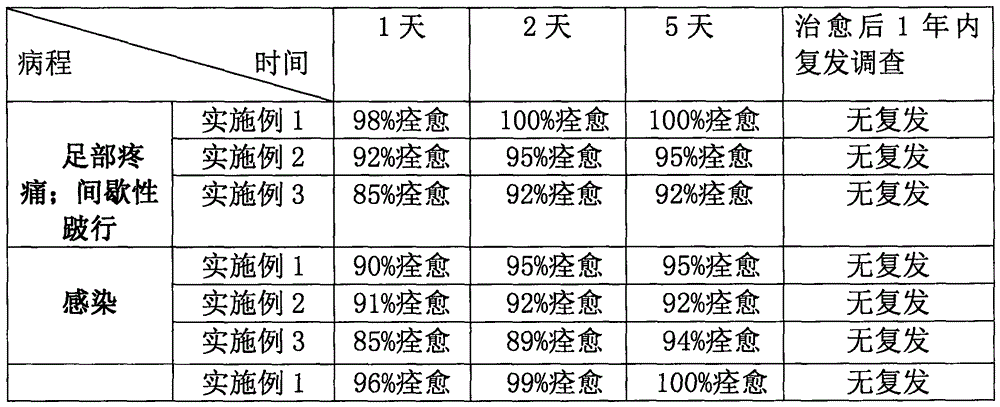 Nursing liquid medicine for treating diabetic foot