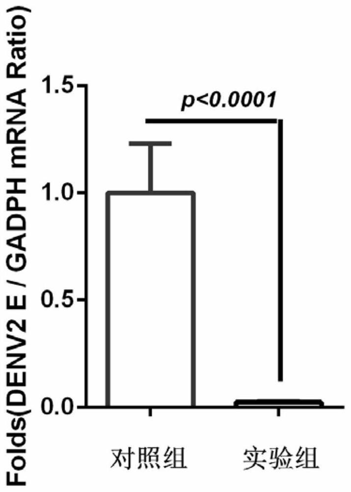 Application of dipterin b protein and/or dipterin b gene and antiviral drugs