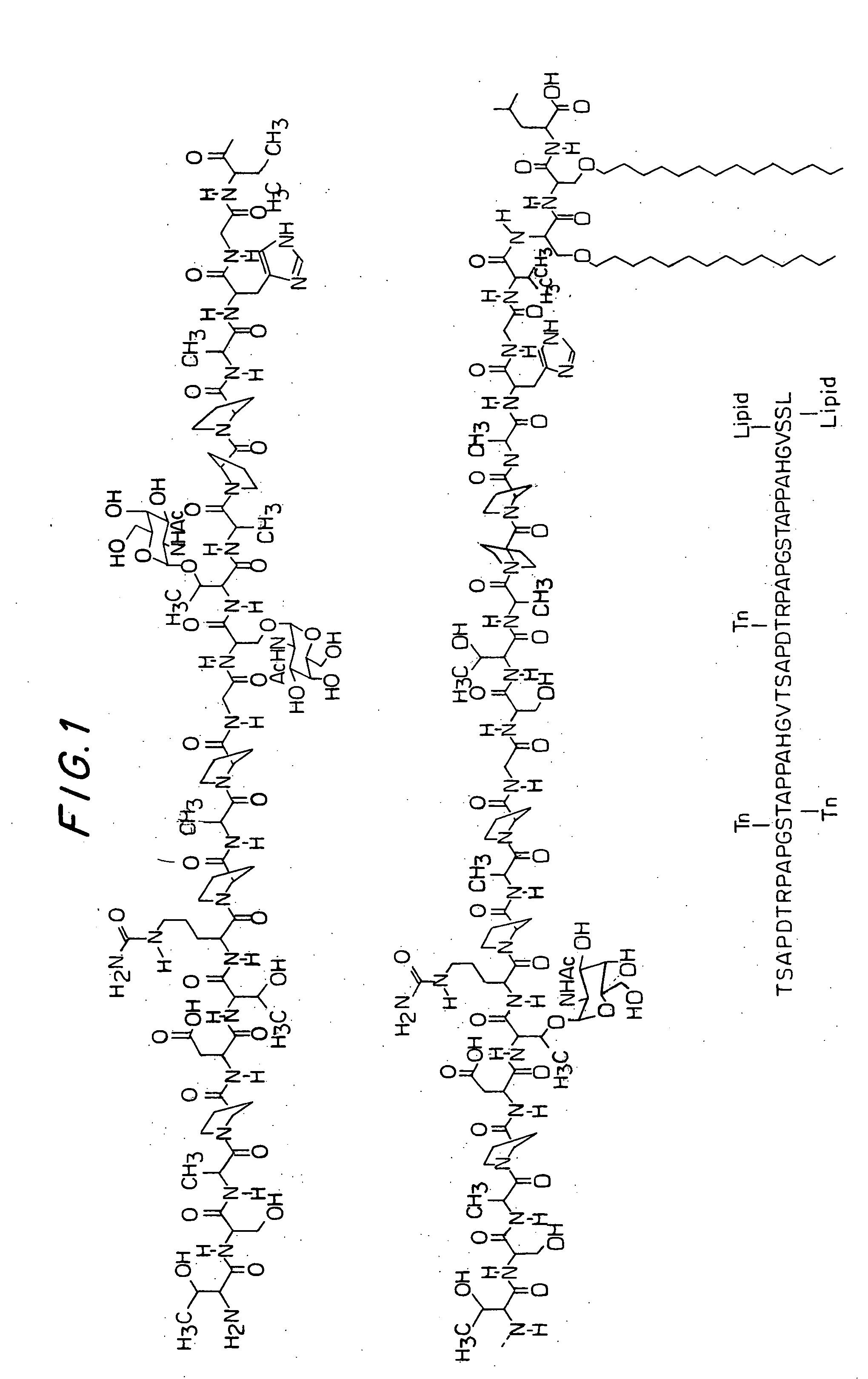 Synthetic glyco-lipo-peptides as vaccines