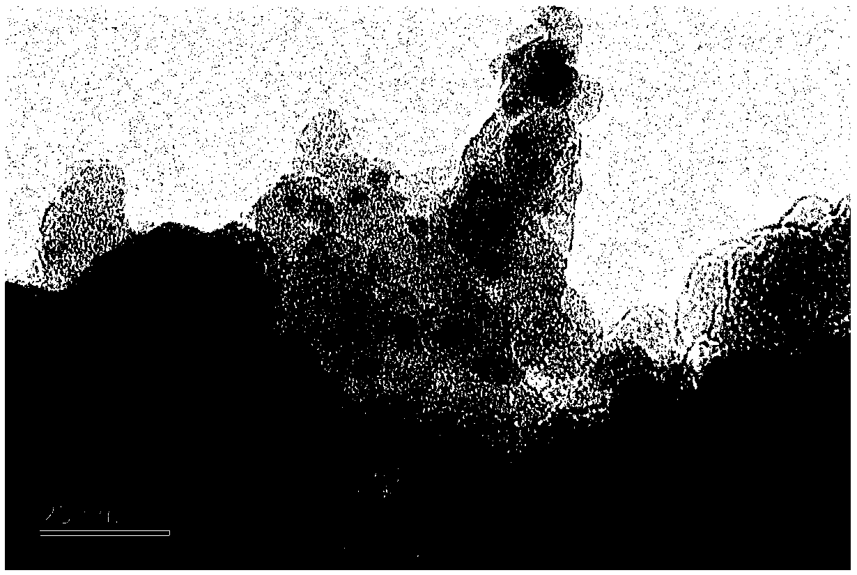 Copper-based catalyst for preparing methyl glycolate and preparation and application thereof