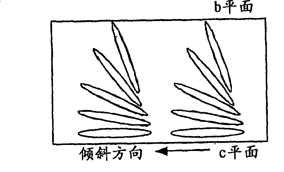 Liquid crystal display