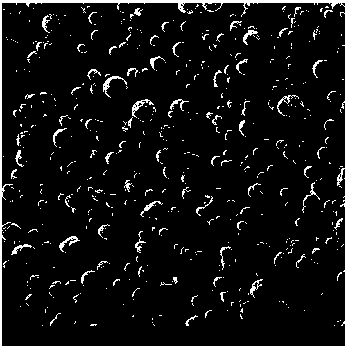 Polypeptide-protein-drug-carried solid particulate matter with mucous penetrability and preparation containing same, and preparing methods and application of polypeptide-protein-drug-carried solid particulate matter with mucous penetrability and preparation