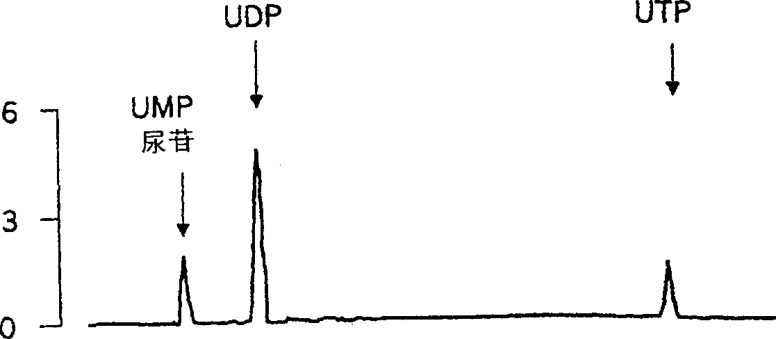 Use of uridine 5'-diphosphate and analogs thereof for the treatment of lung diseases