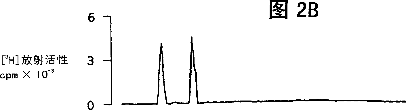 Use of uridine 5'-diphosphate and analogs thereof for the treatment of lung diseases