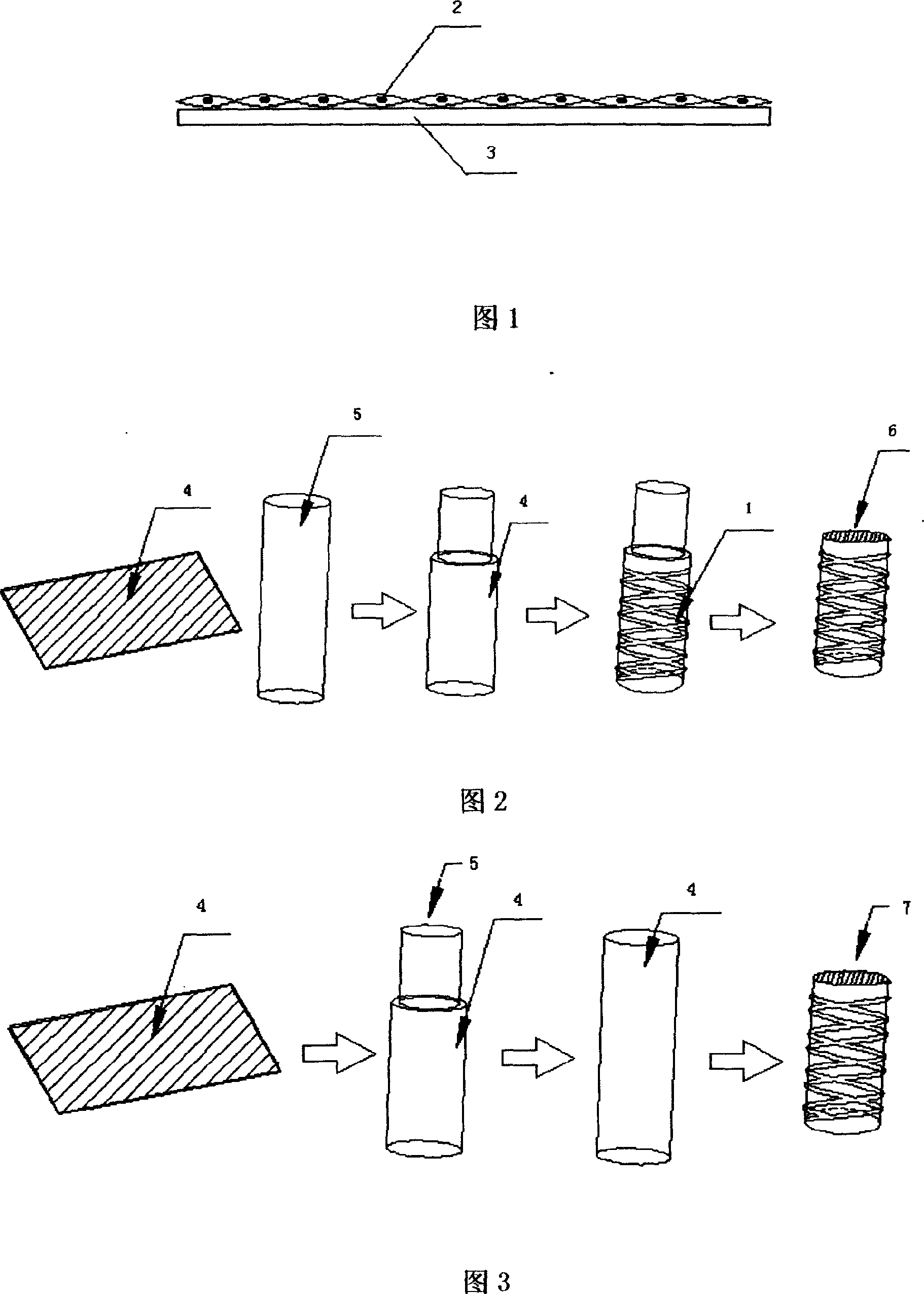 Imaginal stem cell membrane stent in blood vessel, and its preparing method