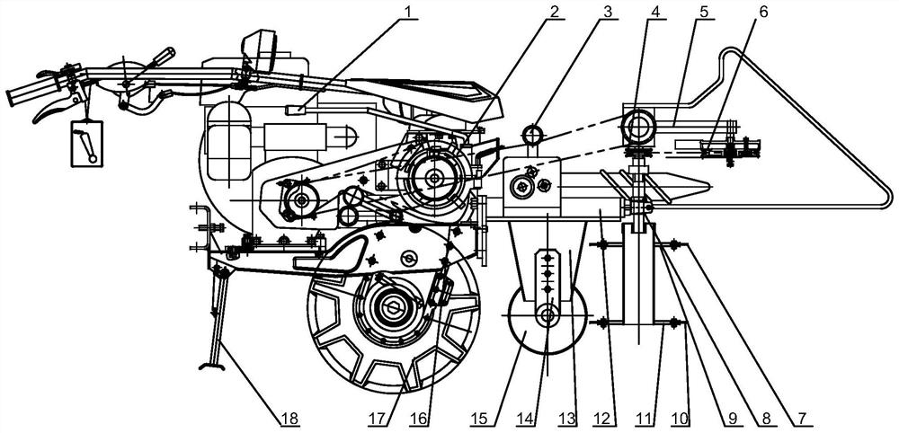 Male parent cutting machine for hybrid rape seed production field