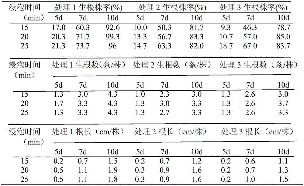 Composition capable of promoting rooting survival of plantlets