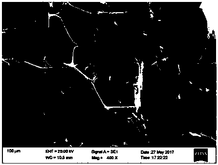 Oil-absorbing carbon sponge and preparation method thereof