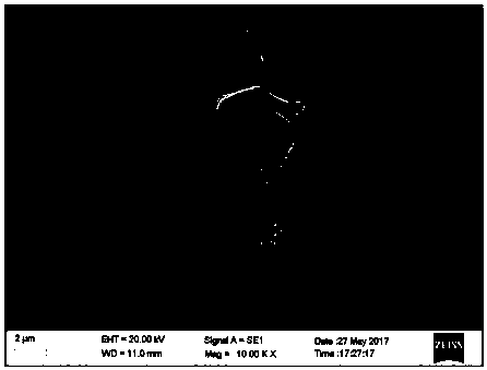 Oil-absorbing carbon sponge and preparation method thereof