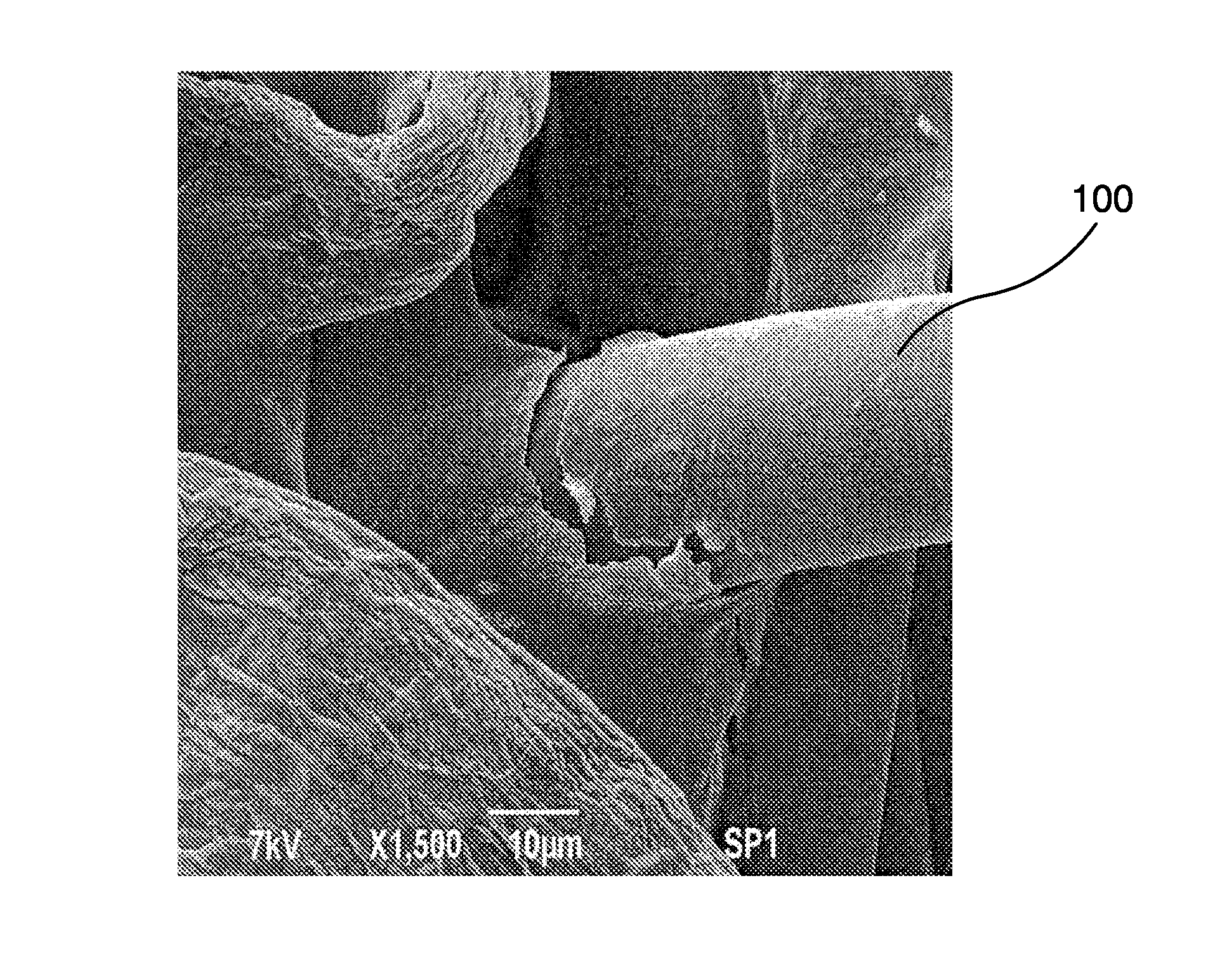 Wipe Coated with a Botanical Composition having Antimicrobial Properties