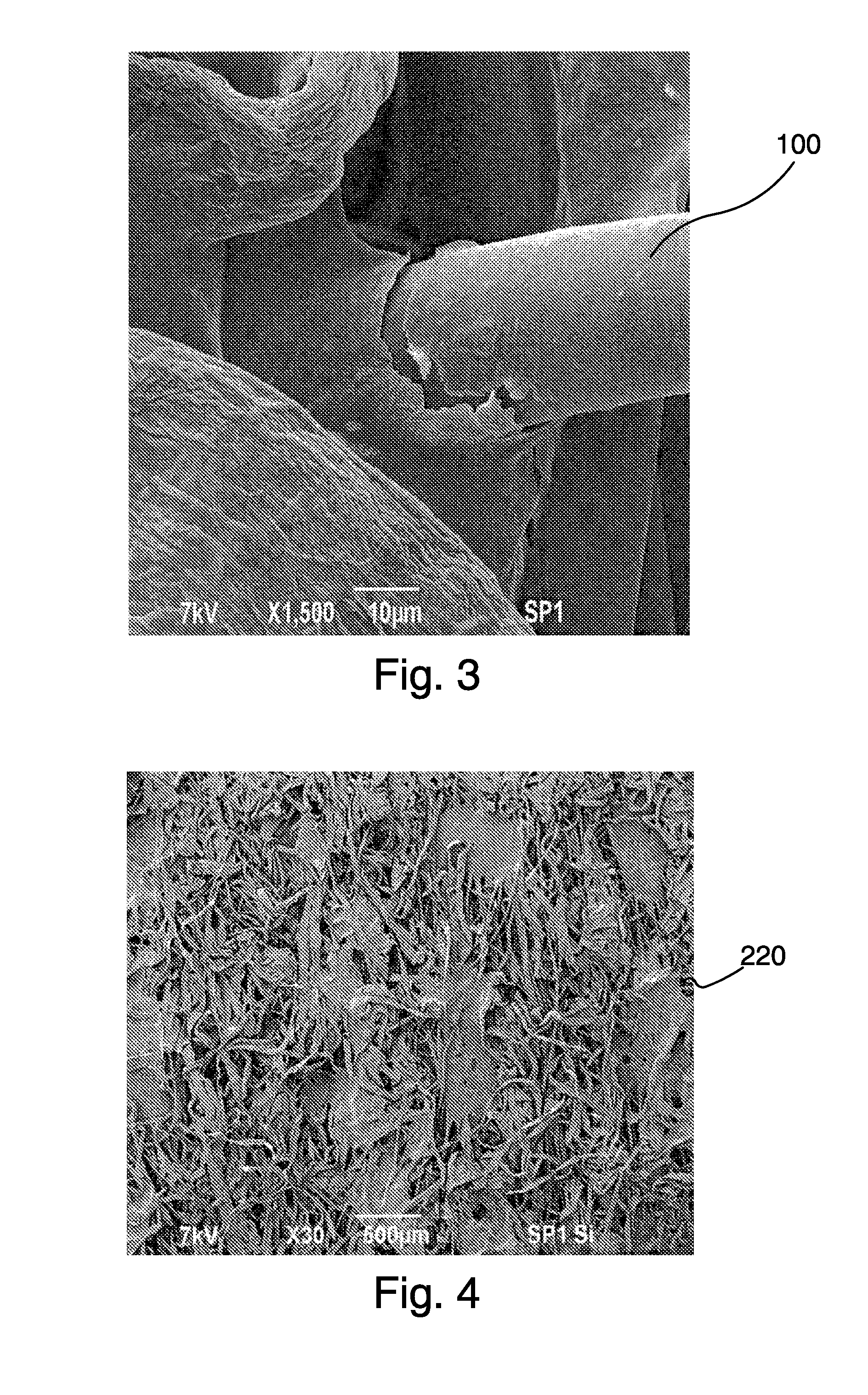 Wipe Coated with a Botanical Composition having Antimicrobial Properties