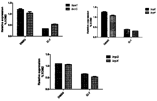 Substituted phenyl furan-2-mercaptothiazoline ketone compound as well as preparation method thereof and application