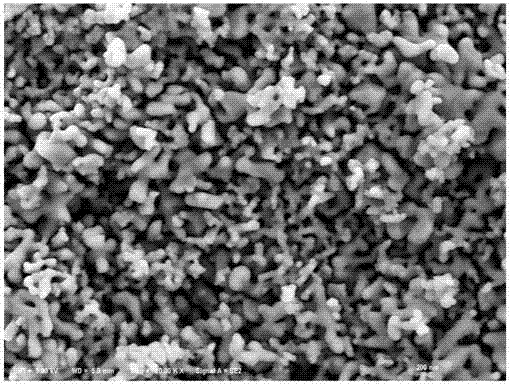 Synthesis method of mesoporous beta-tricalcium phosphate microemulsion