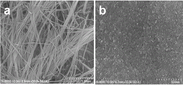 Photocatalyst lanthanum phosphate and its preparation method and application