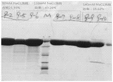 Injection liquid containing small molecular hyaluronic acid and application thereof